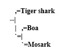 00 Shark&amp;Boa&amp;Mosark